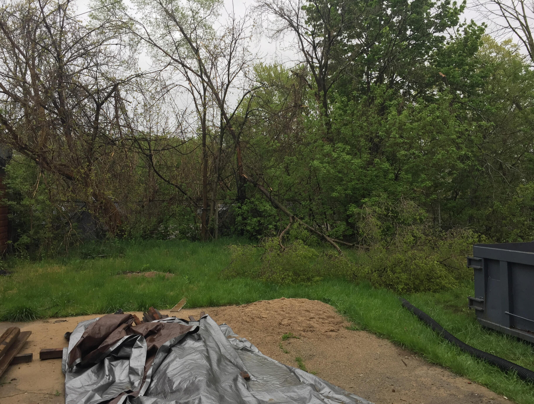 State of the backyard