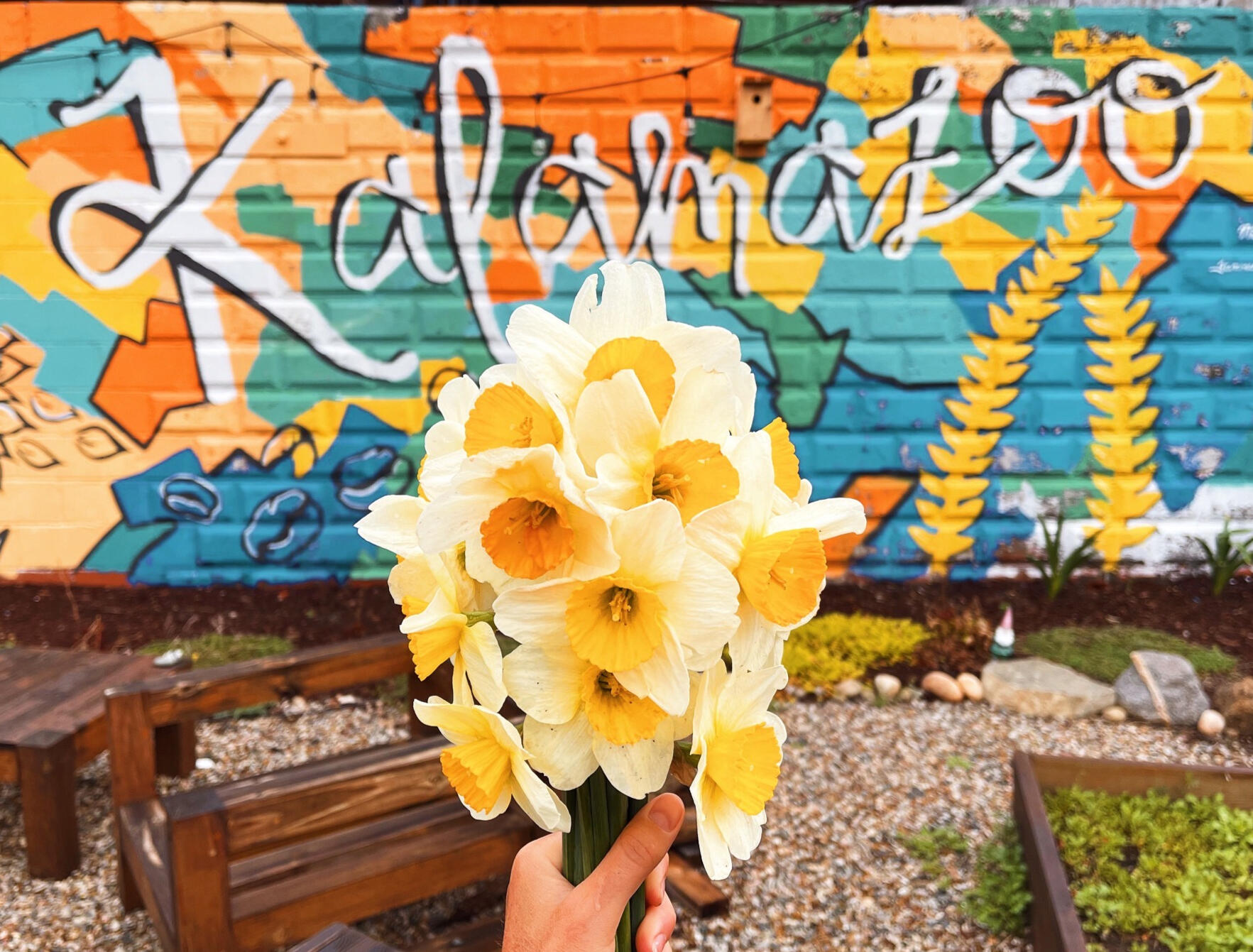 First flowers of the season